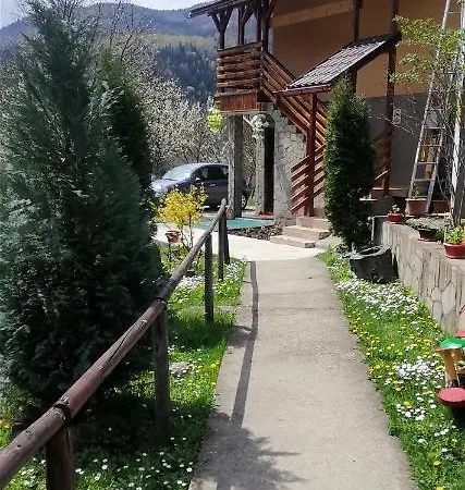 Piatra Mare Villa *